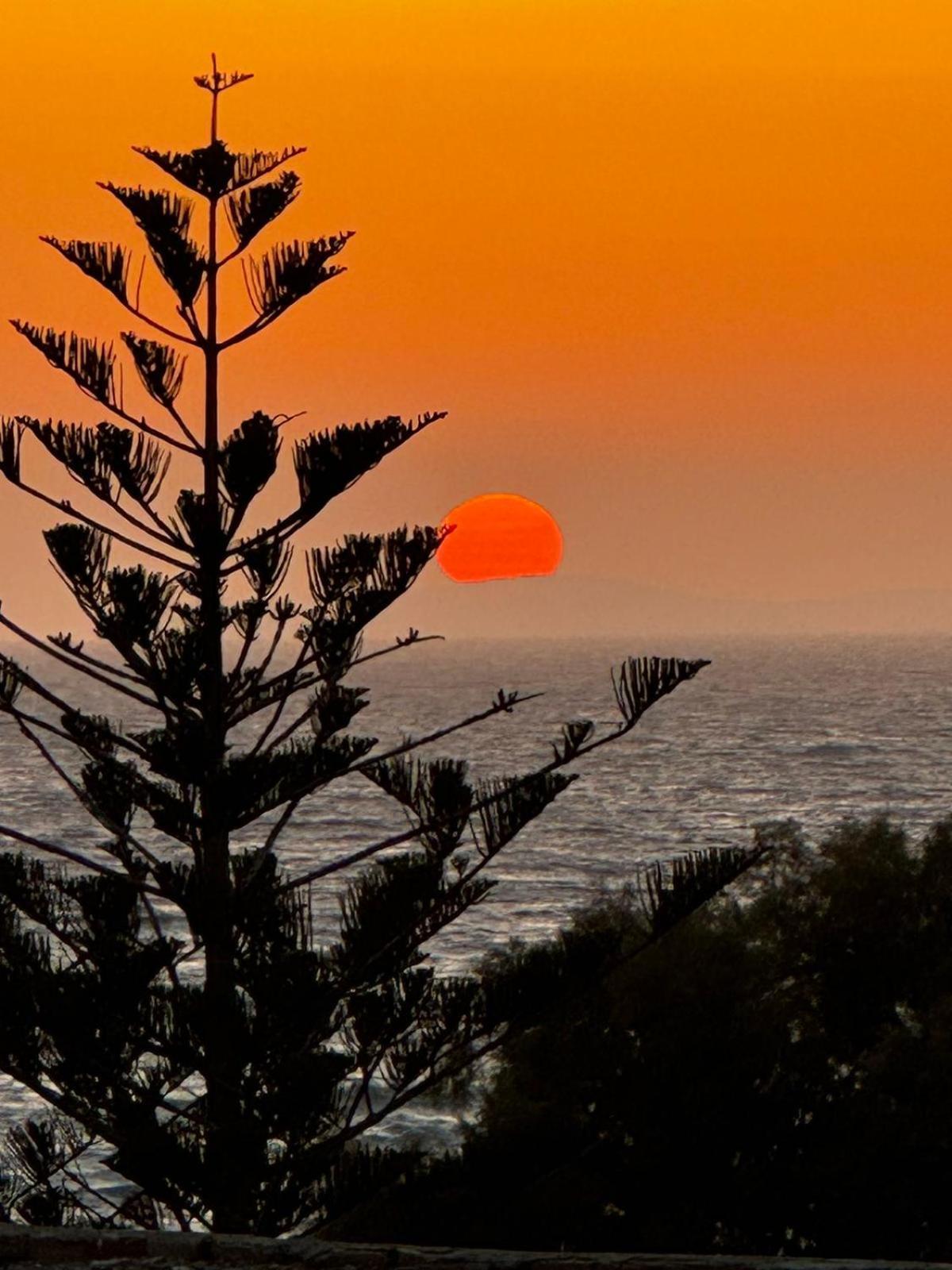 Andreas Daire Mastichari (Kos)