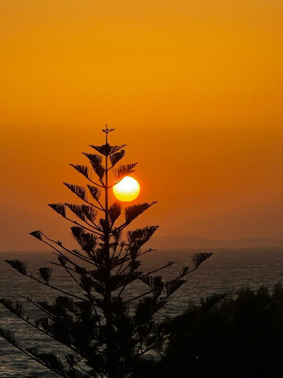 Andreas Mastichari (Kos)